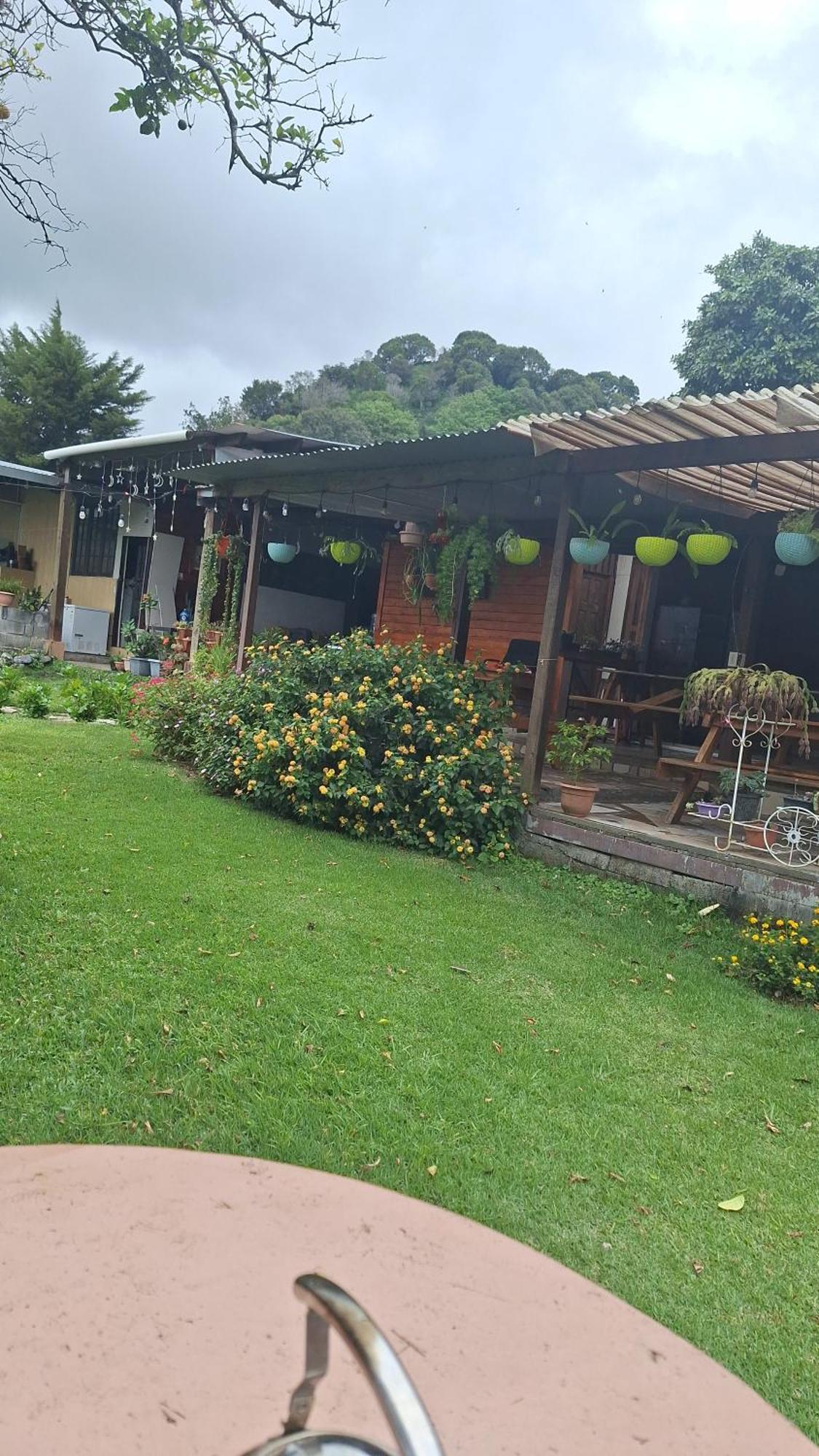 Hostal Vista Boquete Bajo Boquete Exterior photo
